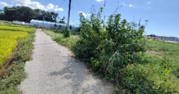 충청남도 보령시 남포면 삼현리 OOOO 답 경매 물건 이미지