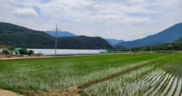 경상남도 산청군 산청읍 내리 OOO 답 경매 물건 이미지