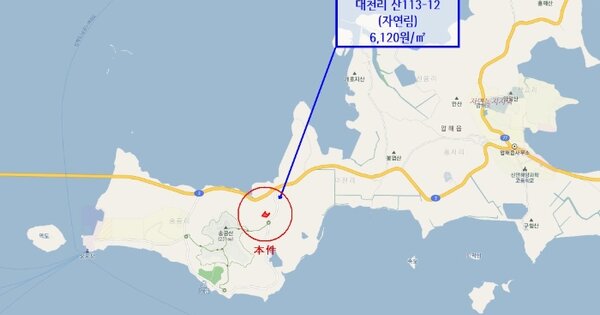 전라남도 신안군 압해읍 대천리 OOOOOO 임야 경매 물건 이미지
