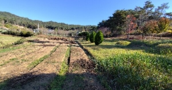충청남도 홍성군 구항면 공리 OOOOO 전 경매 물건 이미지