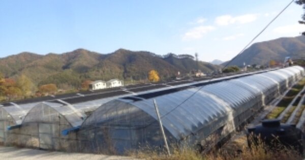 충청북도 괴산군 청안면 부흥리 OOOOO 답 경매 물건 이미지