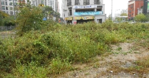 충청북도 청주시 상당구 방서동 OOO 대지 경매 물건 이미지
