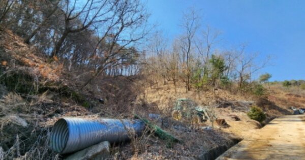 충청북도 제천시 흑석동 OOOOO 임야 경매 물건 이미지