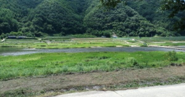 충청남도 금산군 부리면 방우리 OOO 전 경매 물건 이미지