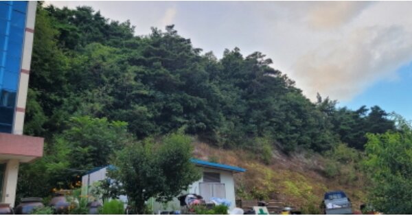 경상북도 청도군 금천면 동곡리 OOOOO 임야 경매 물건 이미지