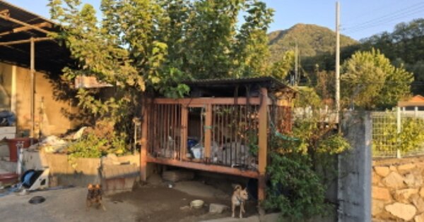 경상북도 칠곡군 석적읍 도개리 OO 단독주택 경매 물건 이미지