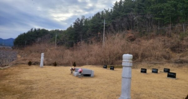 경상북도 영덕군 영해면 묘곡리 OO 전 경매 물건 이미지