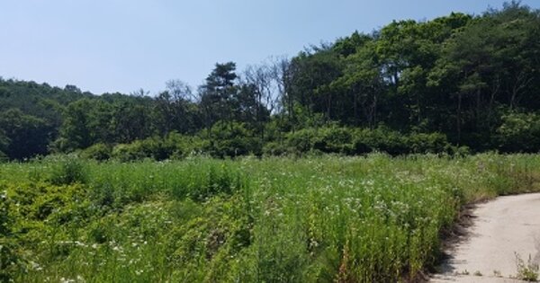 대구광역시 군위군 우보면 두북리 OOO 전 경매 물건 이미지