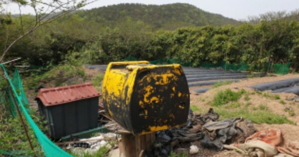 경상북도 경주시 건천읍 용명리 OOO 답 경매 물건 이미지