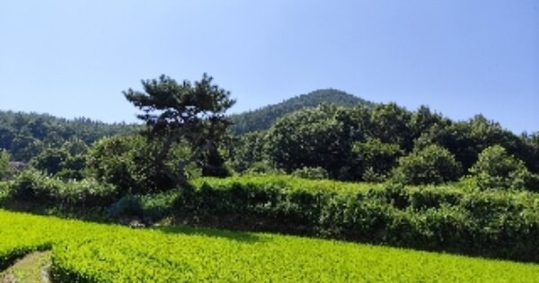 충청남도 서천군 종천면 산천리 OOOOO 전 경매 물건 이미지