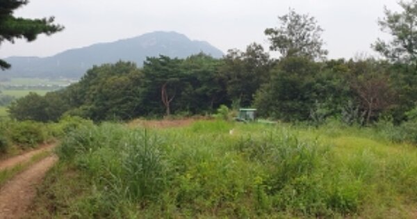충청남도 홍성군 홍북읍 중계리 OOOOO 임야 경매 물건 이미지