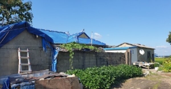 충남 예산군 봉산면 하평리 OOOOO O OOO 단독주택 경매 물건 이미지