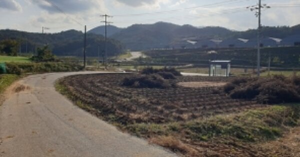 충청남도 홍성군 결성면 교항리 OOOOO 답 경매 물건 이미지