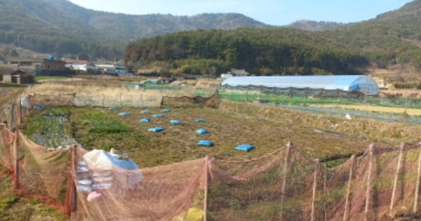 경상남도 거제시 동부면 율포리 OO 답 경매 물건 이미지