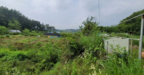전북특별자치도 군산시 임피면 보석리 OOO 답 경매 물건 이미지