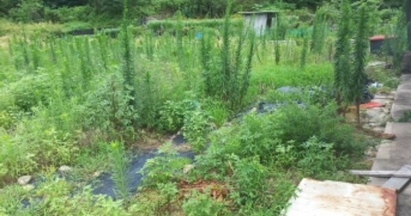 경상남도 고성군 상리면 오산리 OOOOO 전 경매 물건 이미지