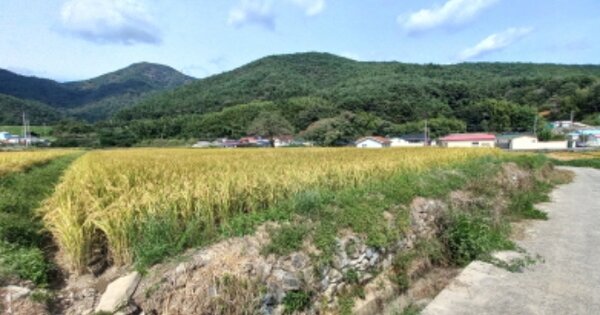 경상남도 고성군 하일면 수양리 OOOOO 답 경매 물건 이미지