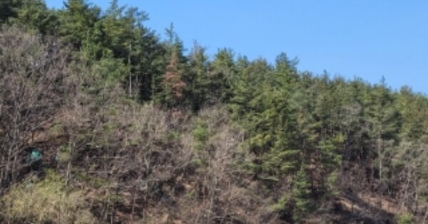 경상북도 포항시 북구 흥해읍 초곡리 OOOOOO 임야 경매 물건 이미지
