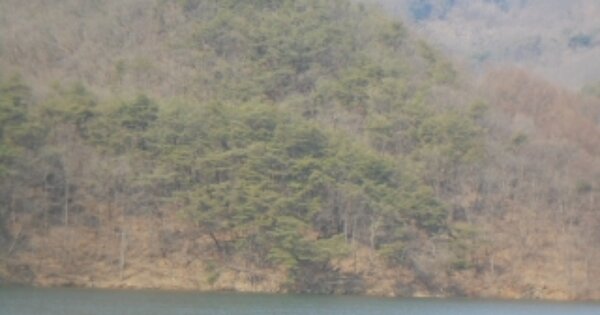 충청북도 충주시 동량면 하천리 OOO 임야 경매 물건 이미지