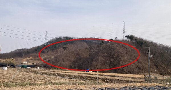 충청북도 충주시 소태면 동막리 OO 임야 경매 물건 이미지