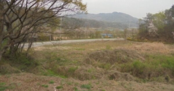 충청북도 충주시 앙성면 조천리 OOOOO 답 경매 물건 이미지