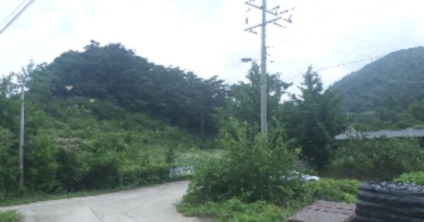 전북특별자치도 임실군 강진면 학석리 OOOOOO O OOO 임야 경매 물건 이미지