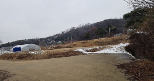 경기도 안성시 대덕면 대농리 OO O OOO 전 경매 물건 이미지