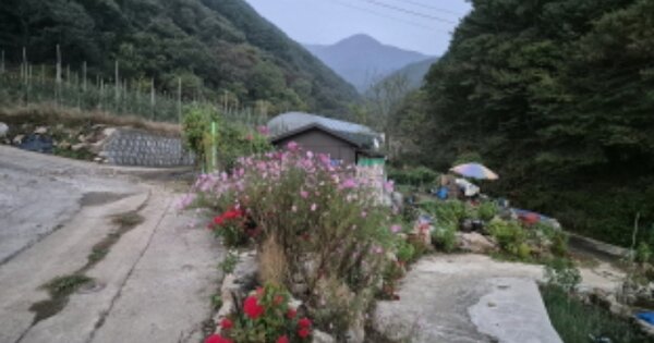 전북특별자치도 진안군 백운면 백암리 OOO 대지 경매 물건 이미지