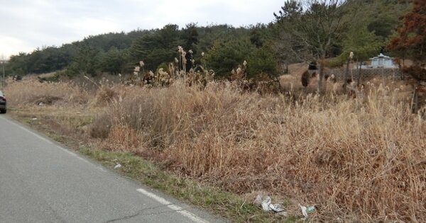 전라남도 무안군 일로읍 죽산리 OOOOO 답 경매 물건 이미지