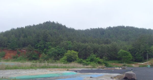 전라남도 완도군 약산면 우두리 OOOO 임야 경매 물건 이미지