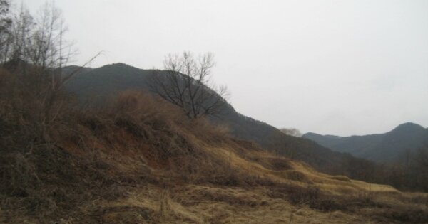충청북도 괴산군 청천면 후영리 OOOOO O OOO 전 경매 물건 이미지
