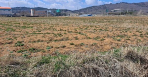 충청남도 서산시 운산면 갈산리 OOOOOO 임야 경매 물건 이미지