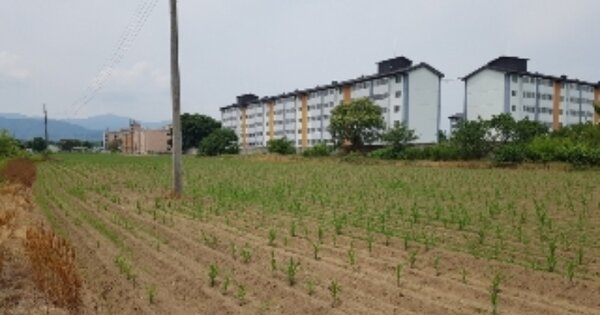 강원특별자치도 춘천시 사농동 OOOOOO O OOO 전 경매 물건 이미지