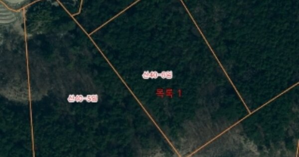 충청남도 서산시 부석면 봉락리 OOOOO 임야 경매 물건 이미지