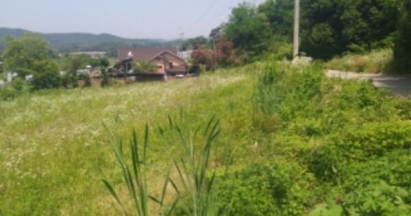 충청남도 당진시 면천면 원동리 OOOOO O OOO 전 경매 물건 이미지