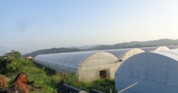 충청북도 청주시 청원구 내수읍 세교리 OOOOO O OOO 답 경매 물건 이미지