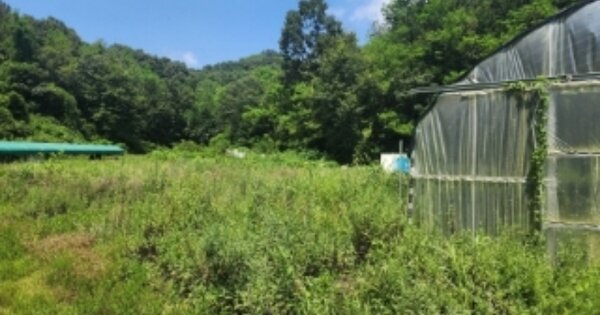 충청북도 청주시 서원구 현도면 상삼리 O 전 경매 물건 이미지