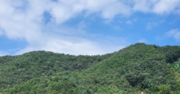 충청북도 보은군 내북면 화전리 OOO 임야 경매 물건 이미지