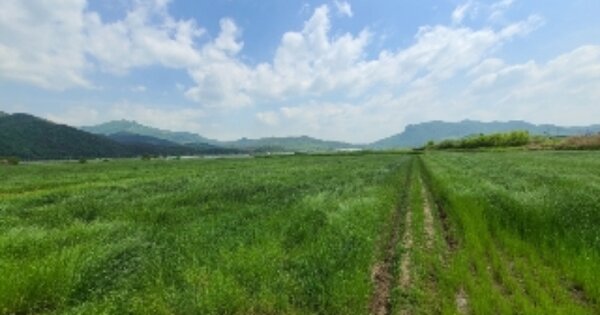 전라남도 화순군 춘양면 화림리 OOOOOO 답 경매 물건 이미지