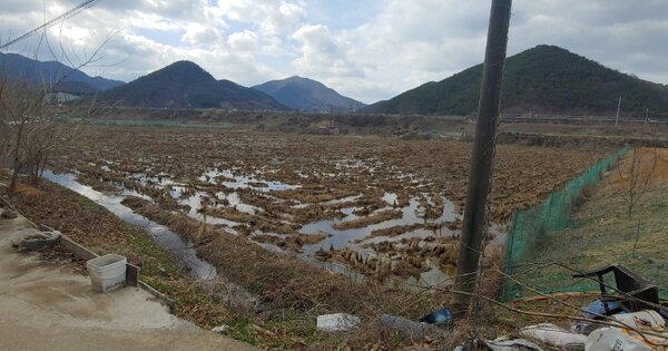 경상남도 창원시 의창구 북면 마산리 OOOOOO 답 경매 물건 이미지