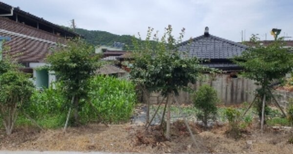 경상남도 창원시 마산합포구 진전면 오서리 OOO 대지 경매 물건 이미지