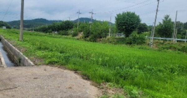 경상남도 함안군 가야읍 사내리 OOO 답 경매 물건 이미지