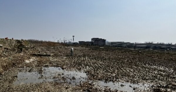 충청남도 아산시 인주면 공세리 OOOOOO 답 경매 물건 이미지