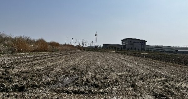 충청남도 아산시 인주면 공세리 OOOOOO 답 경매 물건 이미지