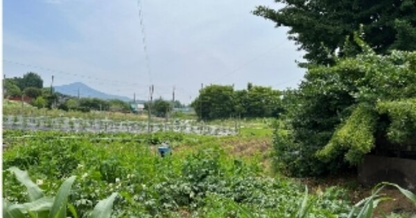 충청남도 아산시 영인면 백석포리 OOOOO 전 경매 물건 이미지