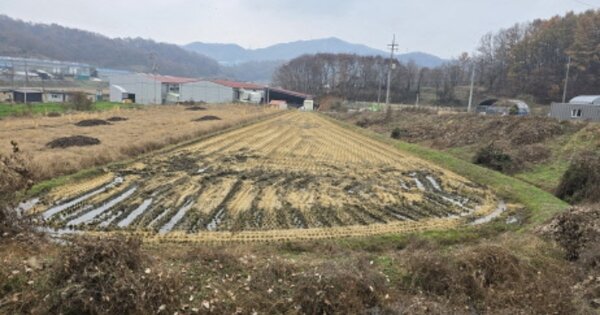 충청남도 천안시 동남구 성남면 봉양리 OOOOO 답 경매 물건 이미지