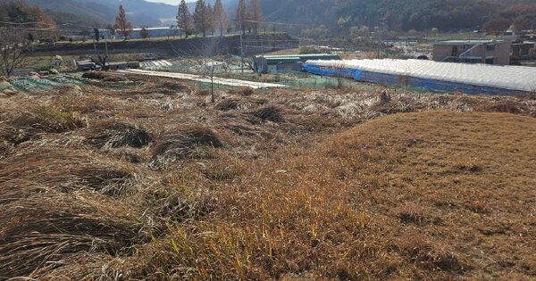 충청남도 천안시 서북구 입장면 양대리 OOOOOO 전 경매 물건 이미지