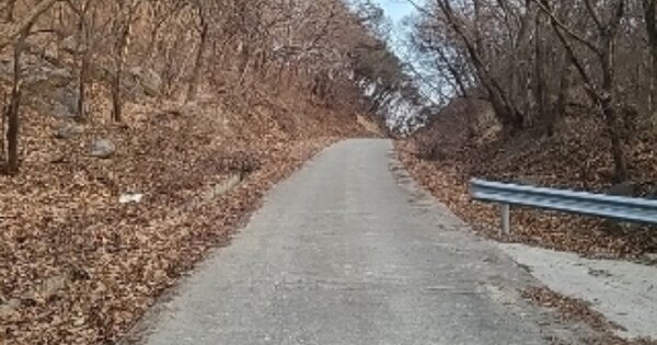 인천광역시 강화군 화도면 상방리 OOOO 임야 경매 물건 이미지