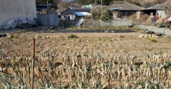 전라남도 구례군 광의면 방광리 OOOOO 답 경매 물건 이미지