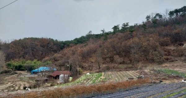 충청남도 청양군 남양면 대봉리 OOOOO 임야 경매 물건 이미지
